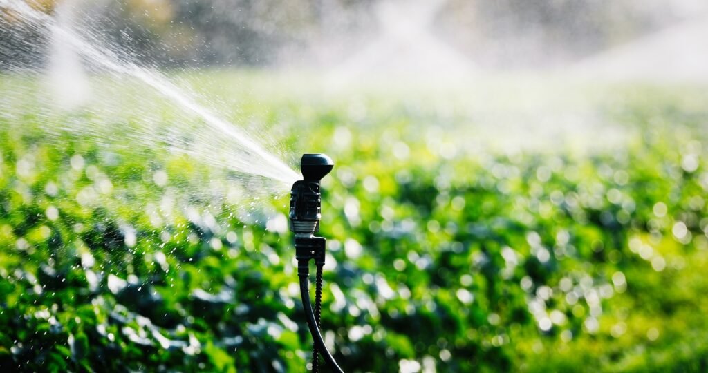 irrigation system in function watering agricultural plants