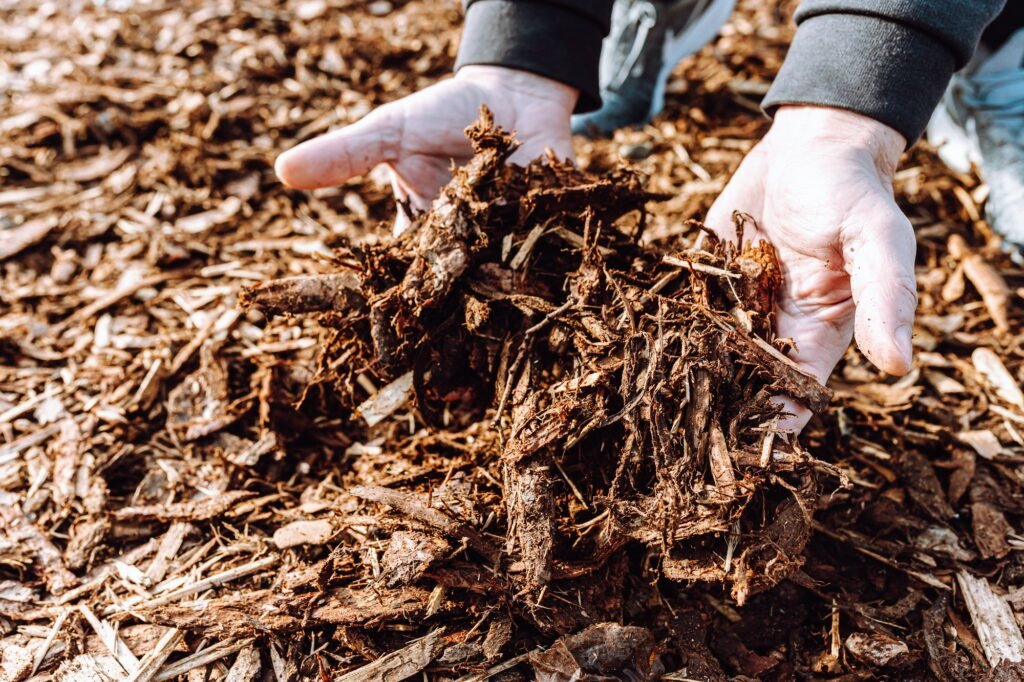 wood chips mulch in hands