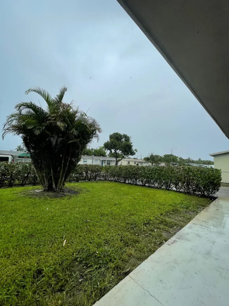 V Maintenance Landscaping Professional INC 108