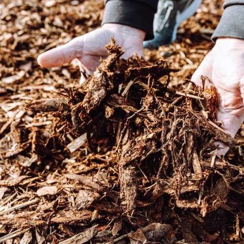 mulch